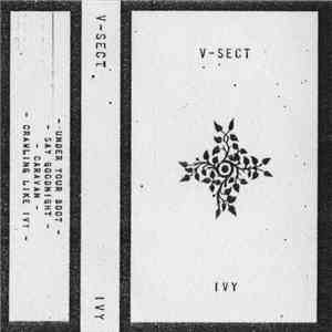 V-Sect - Ivy album flac