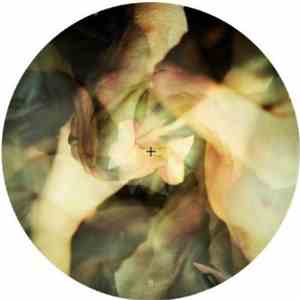 Wareika - Burnin album flac