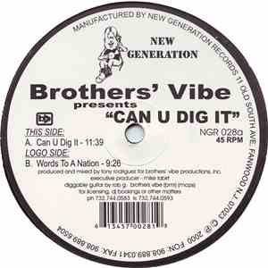 Brothers' Vibe - Can U Dig It album flac