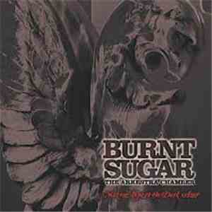 Burnt Sugar The Arkestra Chamber - Making Love To The Dark Ages album flac