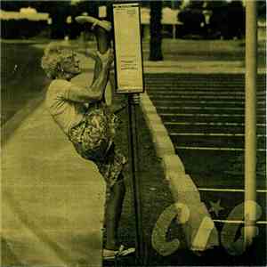 CiG  - Laut, Platt und Punk album flac