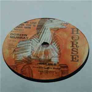 Doreen Murray - My Love For You Is Over Now album flac