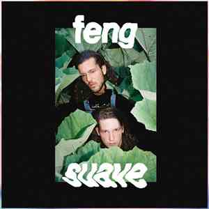 Feng Suave - Feng Suave album flac