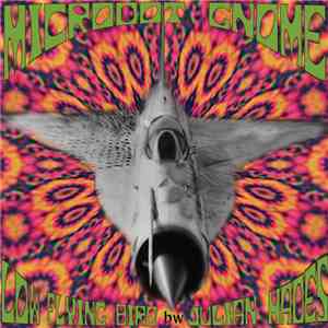 Microdot Gnome - Low Flying Bird album flac