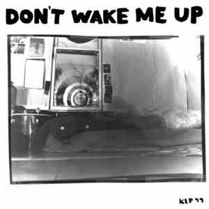 Microphones - Don't Wake Me Up album flac