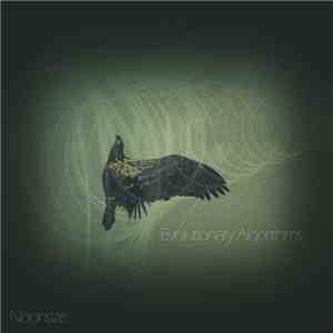 Noonsize - Evolutionary Algorithms album flac