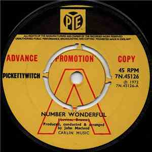 Pickettywitch - Number Wonderful album flac