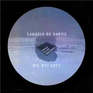Samuele De Santis - Big Wet Grey album flac