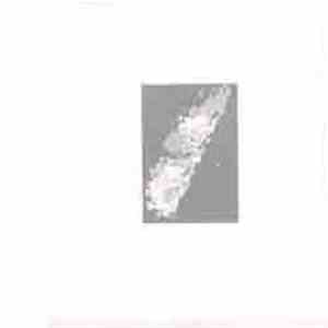 Simon Wickham-Smith - Dyrø album flac