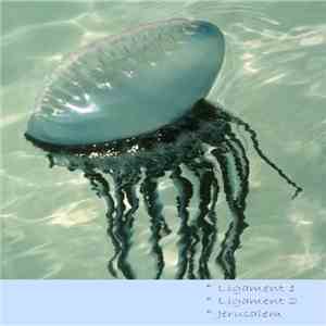 Trou - Lesbian Catalog album flac