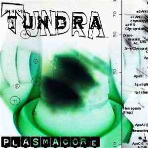 Tundra - Plasmacore album flac