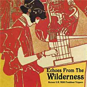 Various - Echoes From The Wilderness album flac