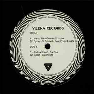 Various - Five Years Of Vilena Records album flac
