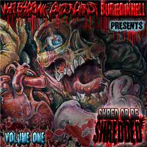 Various - Shred Or Be Shredded - Volume One album flac