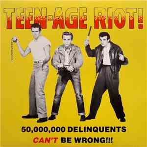 Various - Teen-Age Riot! album flac