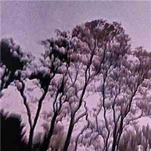 Wiicca - Suicidal Lesbian album flac