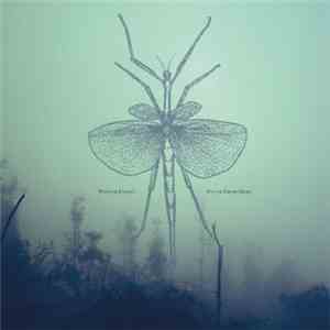 Winter Family - South From Here album flac