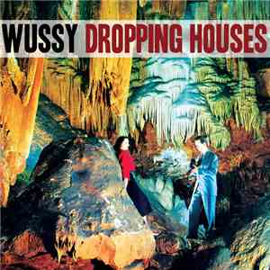 Wussy - Dropping Houses / Folk Night at Fcky's album flac