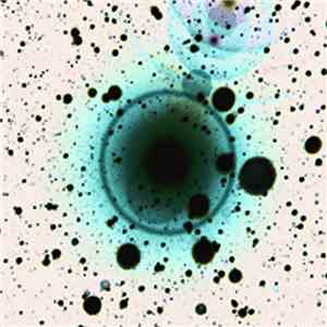 Zero 7 - Simple Science EP album flac