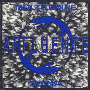Affluente - Moltitudine Suina album flac