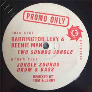 Barrington Levy & Beenie Man - Two Sounds Jungle / Jungle Sounds Drum'n'bass (Tom & Jerry Remixes) album flac