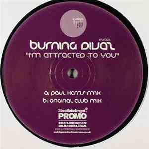 Burning Divaz - I'm Attracted To You album flac