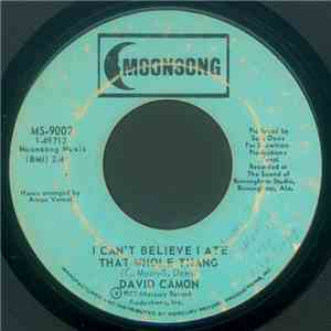 David Camon - I Can't Believe I Ate That Whole Thang album flac