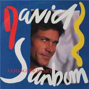 David Sanborn - A Change Of Heart album flac