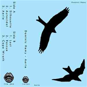 Dominic Hemy - Aerie album flac