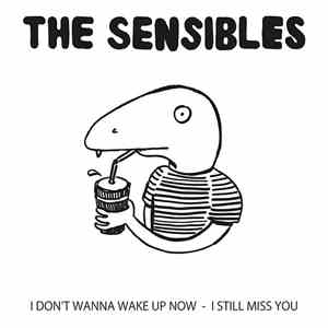 Ever Coming Hair, The Sensibles - Ever Coming Hair/The Sensibles Split Ep album flac
