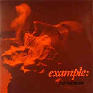 Example - What We Made album flac