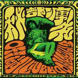 Hibushibire - 秘部痺れ – Official Live Bootleg Vol.3 album flac