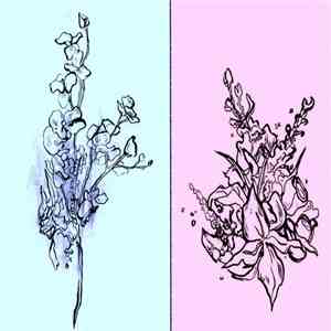 High Bloom - Haloed album flac