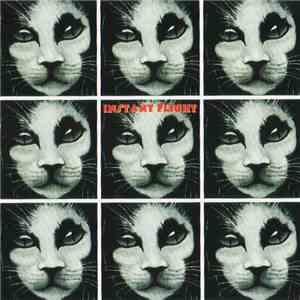 Instant Flight - She Shines album flac
