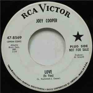 Joey Cooper - Love (Is You) album flac