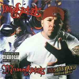 Limp Bizkit - Maximum Bizkit (Exclusive Collection) album flac