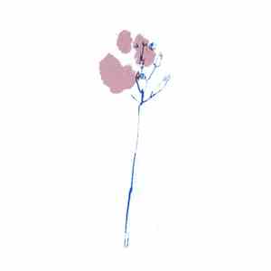 Machinefabriek - Frill album flac