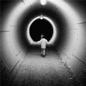 Mary Lattimore & Jeff Zeigler - Music Inspired By Philippe Garrel’s Le Révélateur album flac