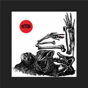 Nate Young - Regression  - Blinding Confusion album flac