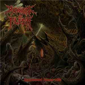 Remnants Of Flesh - Degenerated Human Cells album flac