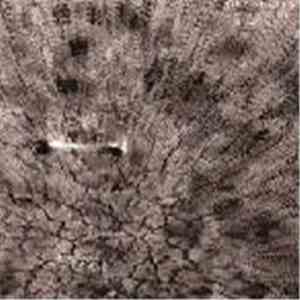 Stevie Wishart / Jim Denley - Tibooburra album flac