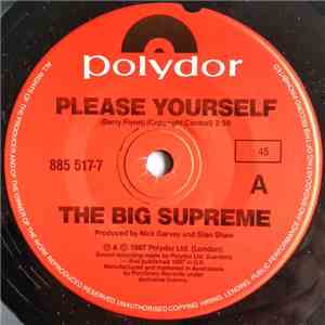 The Big Supreme - Please Yourself album flac