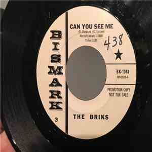 The Briks - Foolish Baby / Can You See Me album flac