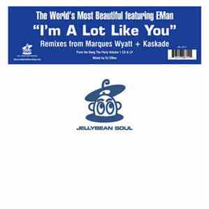 The World's Most Beautiful - I'm A Lot Like You (Remixes) album flac