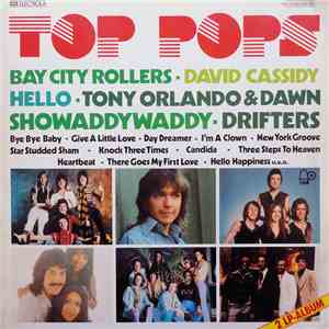 Various - Top Pops album flac