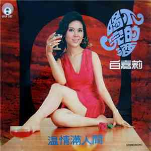 白嘉莉 - 喝不完的酒 album flac