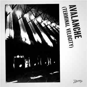 Boys Noize & Erol Alkan Feat. Jarvis Cocker - Avalanche (Terminal Velocity) album flac