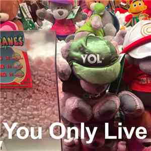 David O'Doherty - You Only Live album flac