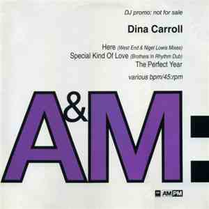 Dina Carroll - Here / Special Kind Of Love / The Perfect Year album flac