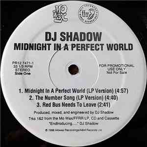 DJ Shadow - Midnight In A Perfect World album flac